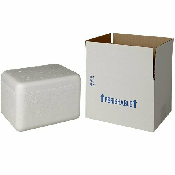 Plastilite Insulated Shipping Box with Foam Cooler 9 5/8'' x 7 3/4'' x 5 7/8'' - 1'' Thick 451ABX5CPLT